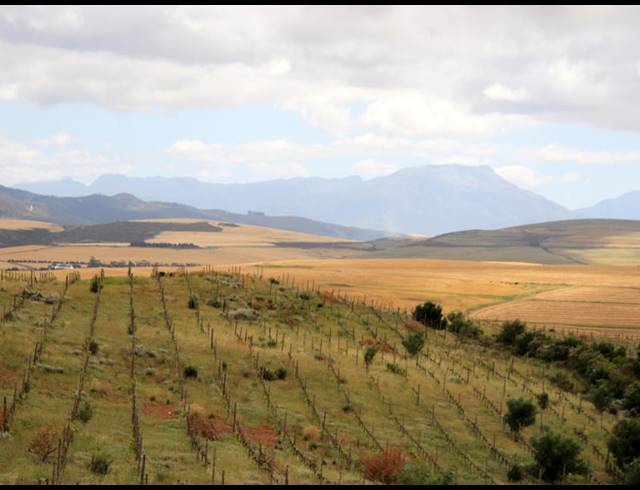 69HA FARM FOR SALE IN BOT RIVER